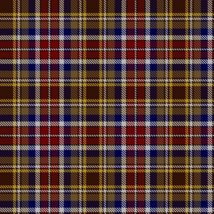 A Man's a Man Ukraine Tartan