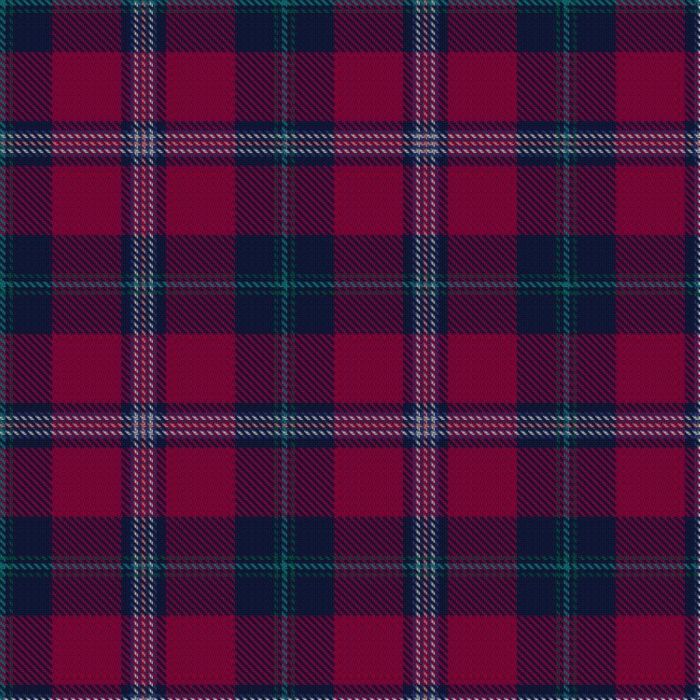 Aaltonen, Roope (Personal) Tartan