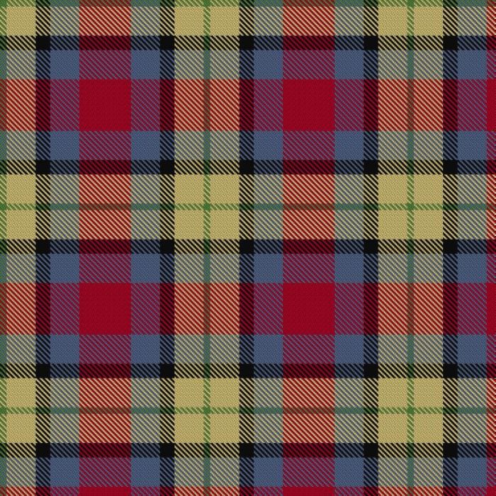 Abbink, Ingmar Tartan 