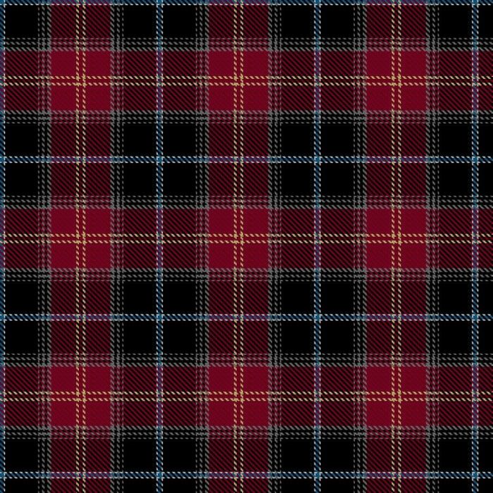 Aberdeen City Council Tartan 