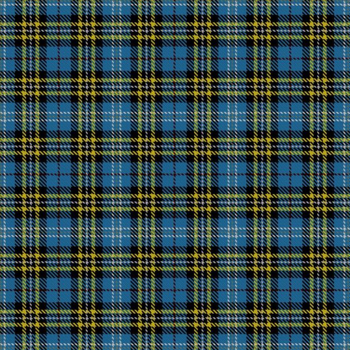 Adams, Rebecca (Personal) Tartan 