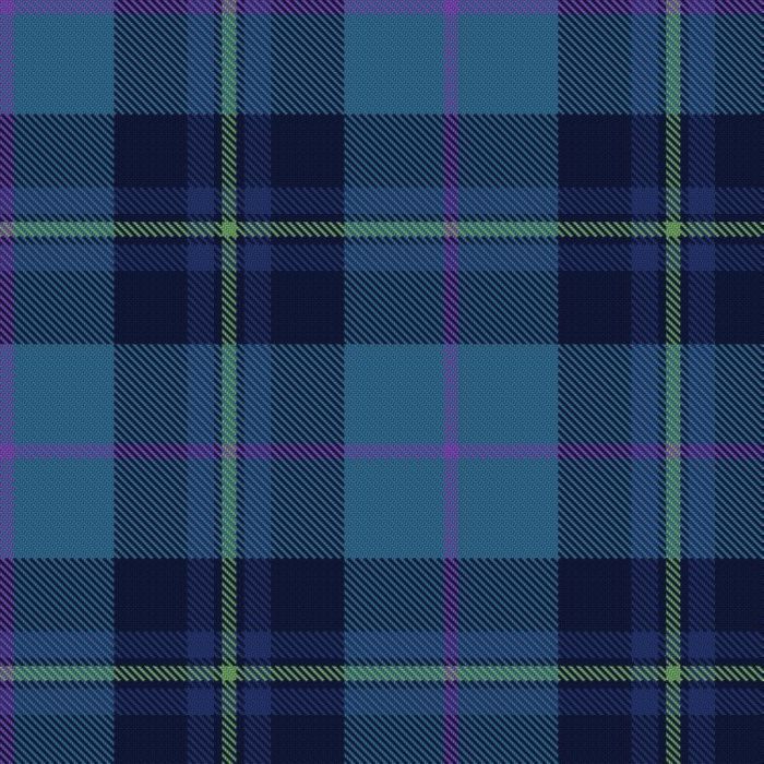 Afternoon Tea / Montagne Bleue Tartan 