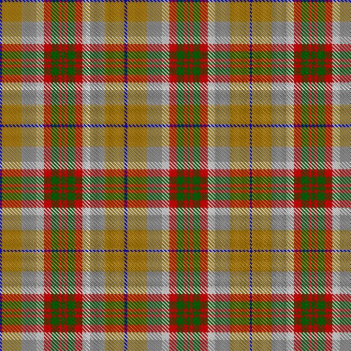 AI (Artificial Intelligence) Tartan 