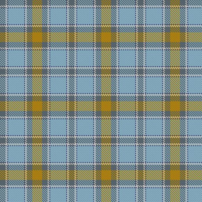 Alloway Primary School Tartan 