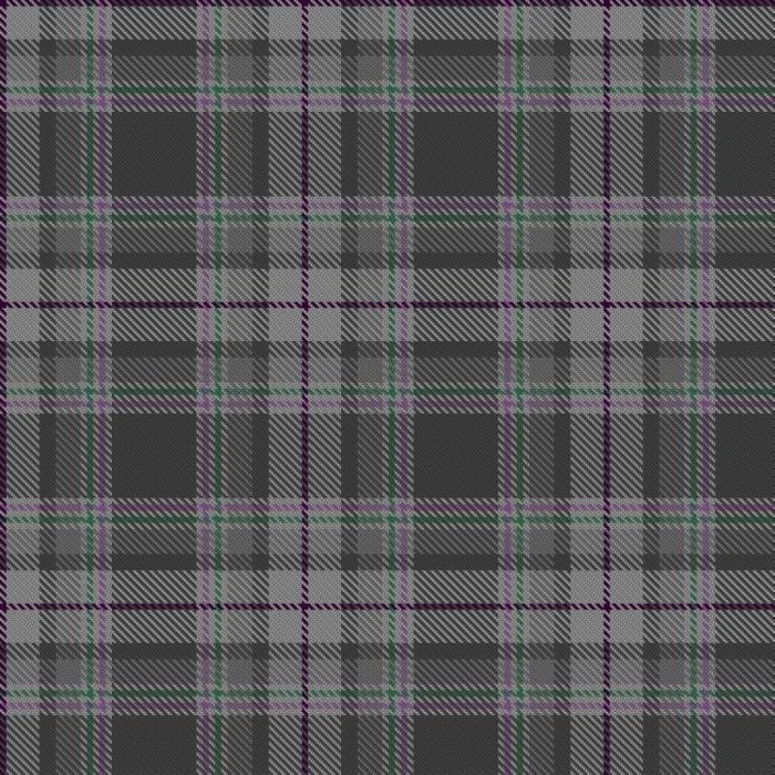 Anastasi, M & Bingham, H Wedding  Tartan
