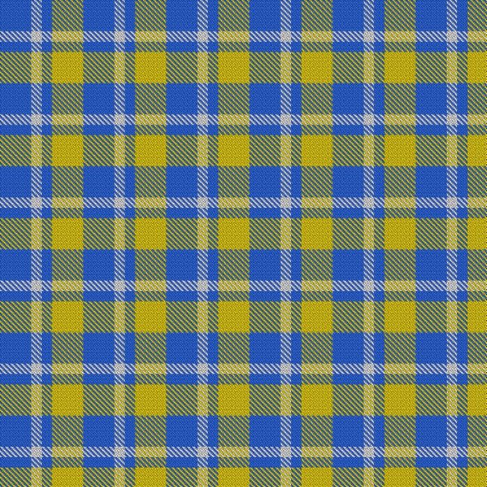 Anaya, Ernesto & Family Tartan