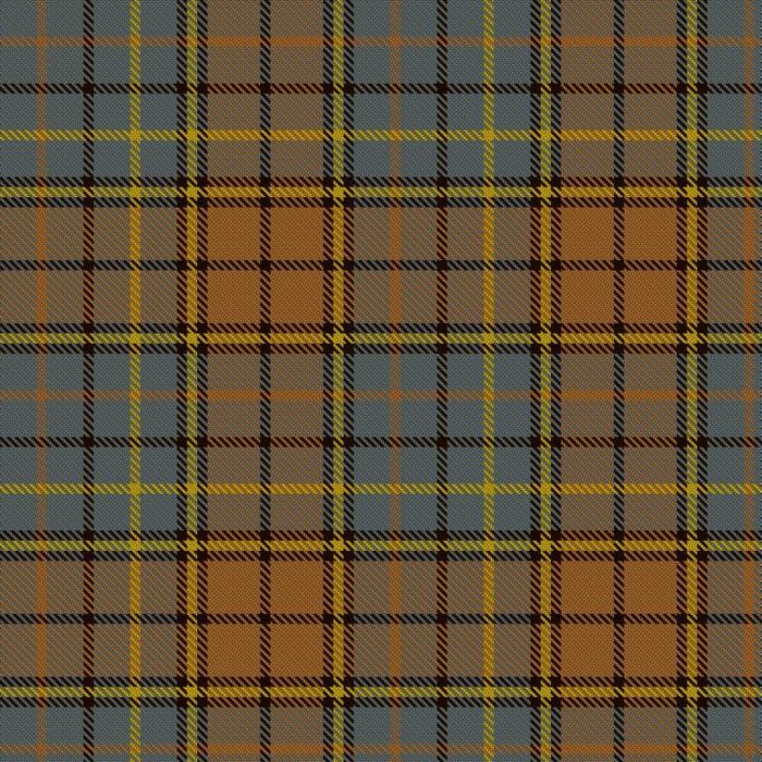 Andrews, Pauline & Family Tartan