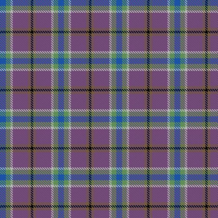Ania´s Thistle Spirit Tartan 
