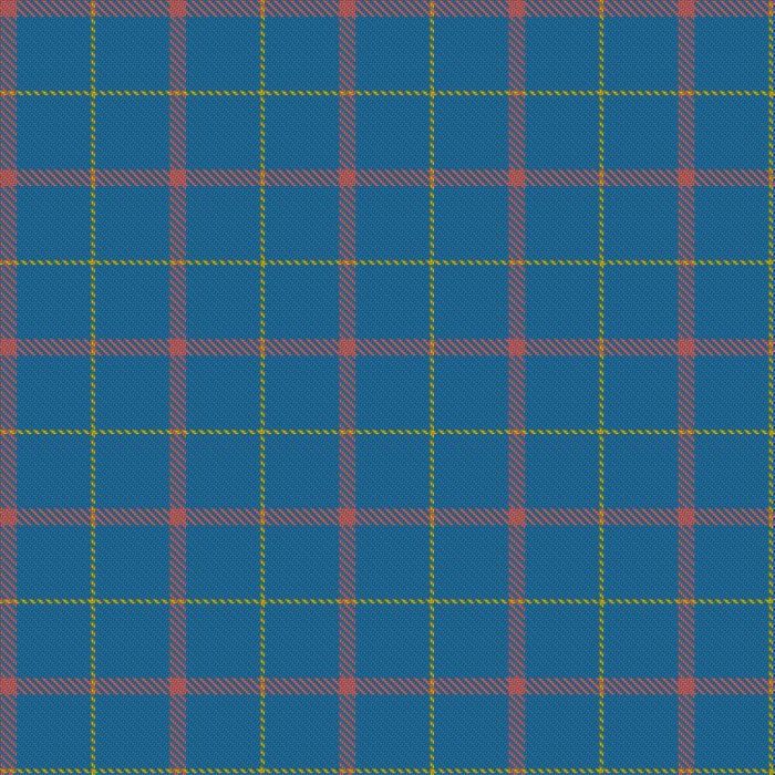 Aoife's Sensory Bus Tartan 