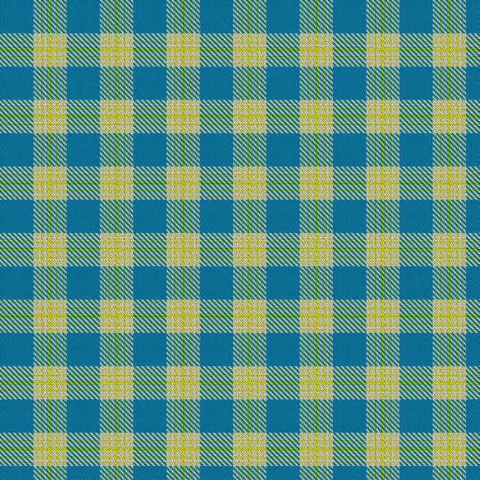 Argentine Flag Tartan 