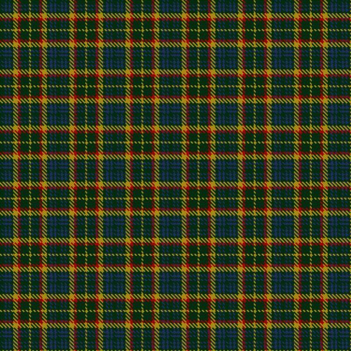 Arkansas (Unofficial) Tartan 
