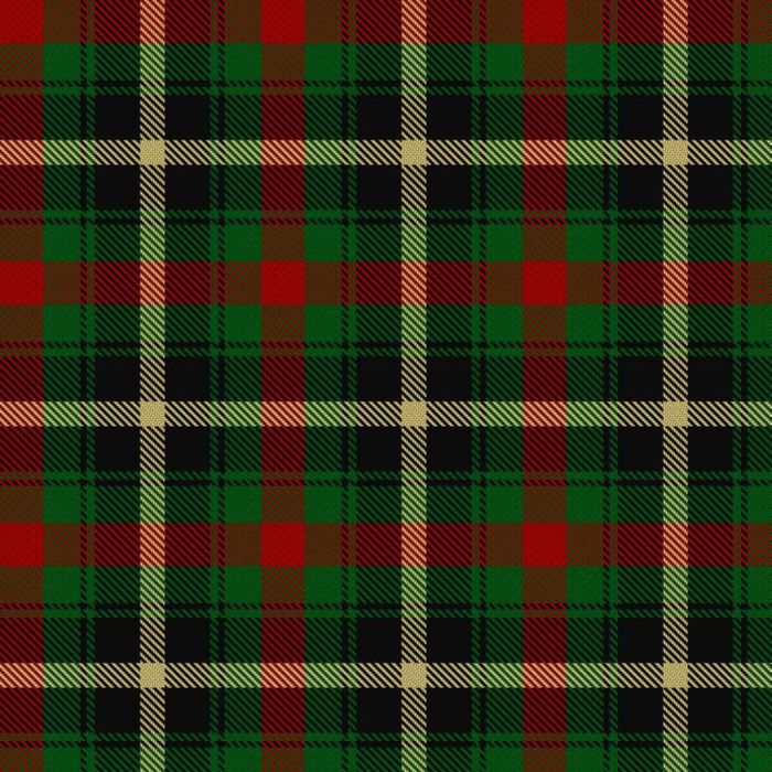 Ashton, N & Family  Tartan 