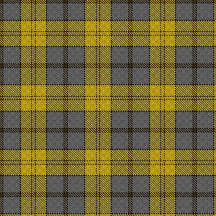 Aslan, E & Family Tartan
