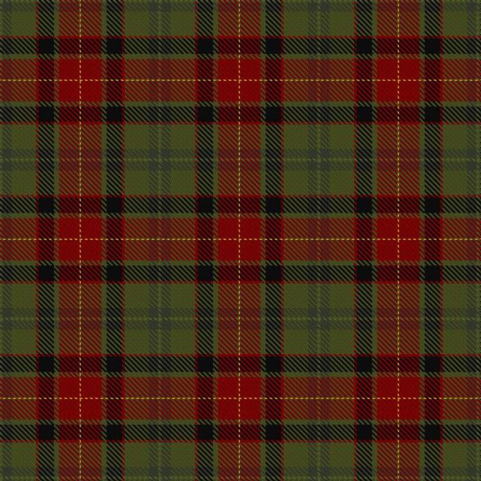 Audley The Dress Tartan