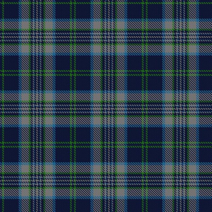 Augusta University Tartan 