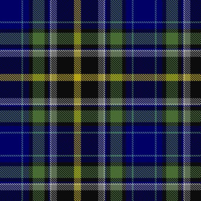Aurora House Check Tartan 
