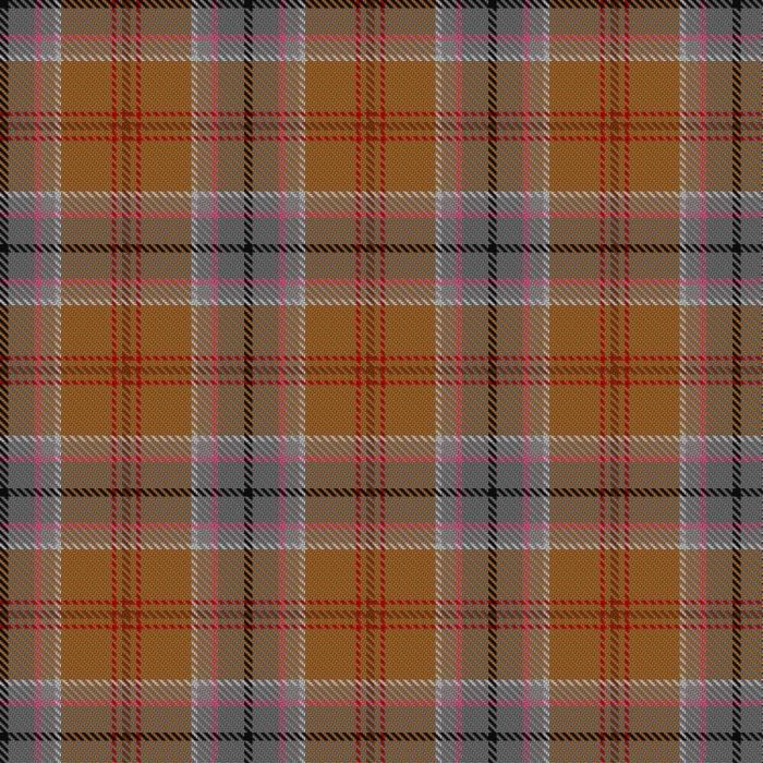 Australian Donkey Tartan 