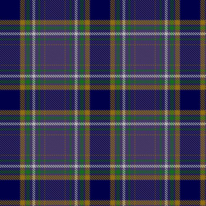 Autism Acceptance Tartan 