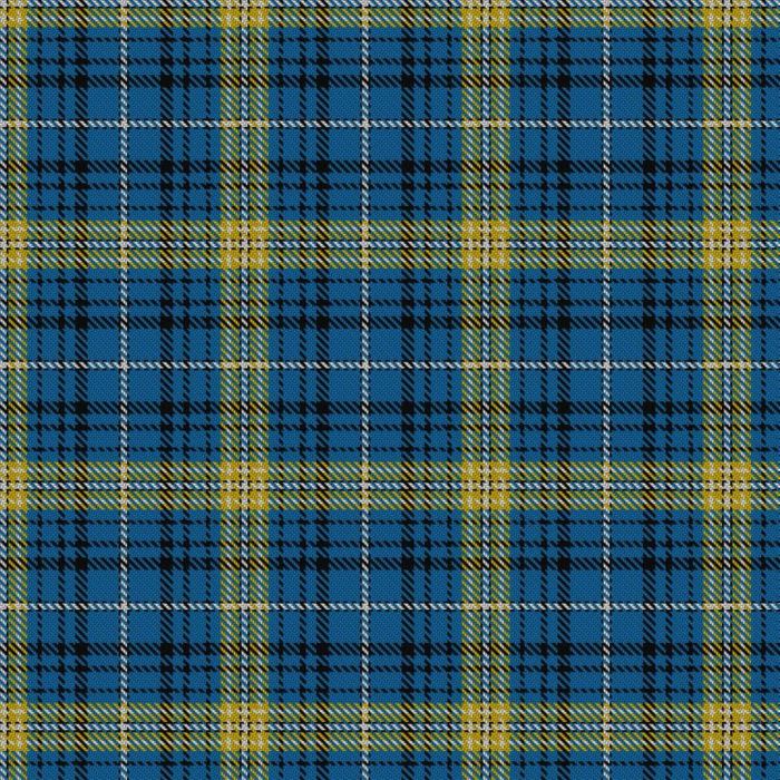Avalon Carroll House Tartan