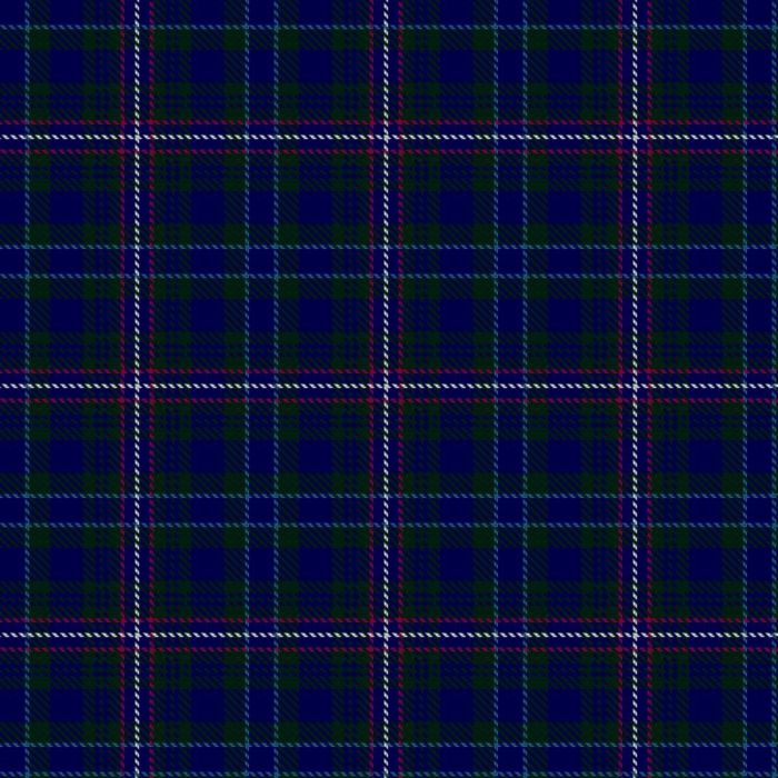 Ayre Robinson (Personal) Tartan 
