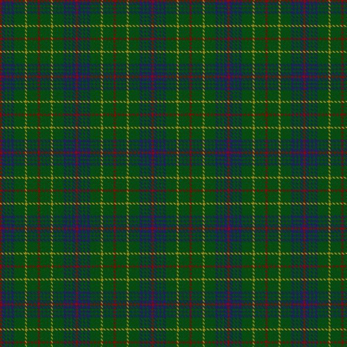 Ayrton of Laoch Tartan 