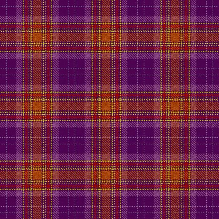 Bade, J & Zaman, J - Wedding (Personal) Tartan