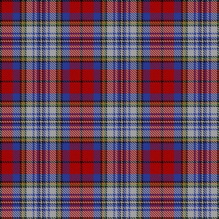 Badminton World Federation tartan