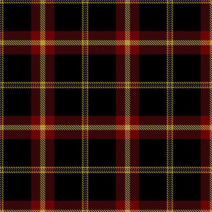 Bagad Les Sonneurs du Lion Tartan kilt