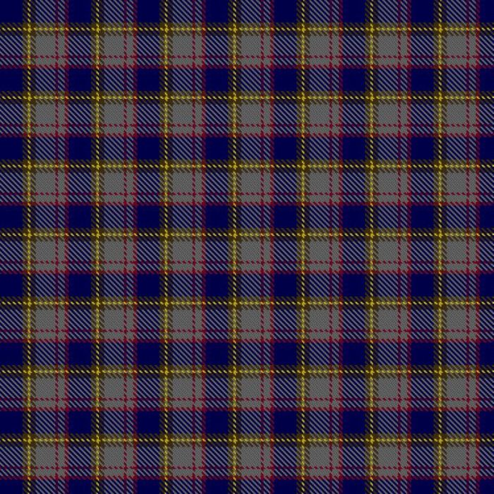 Ballantyne (Personal) STWR Tartan 