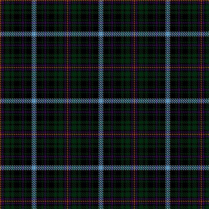 Bamidbar Tartan 