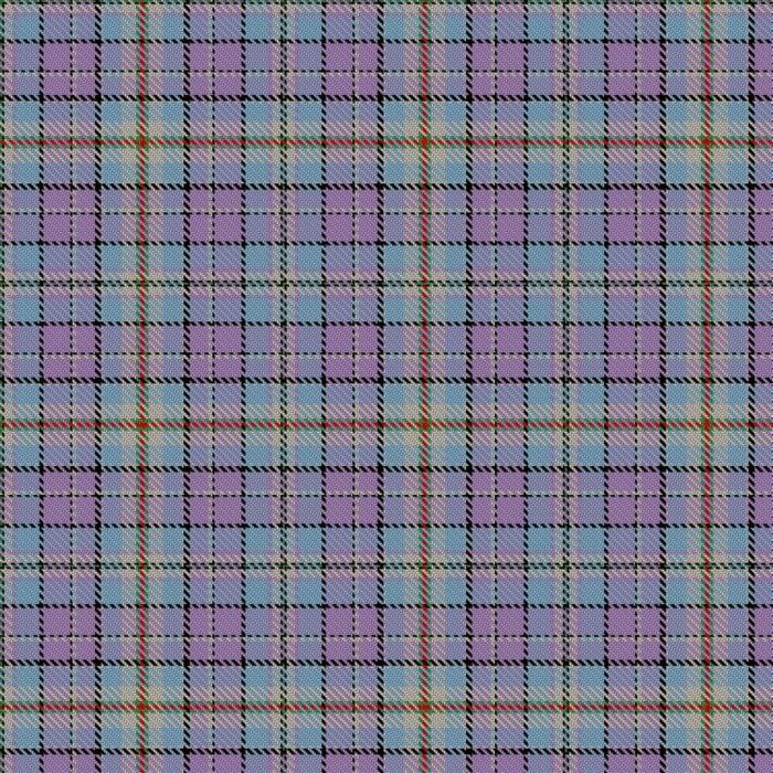 Banished Daughter, The (An Nighean Fògairte) Tartan 