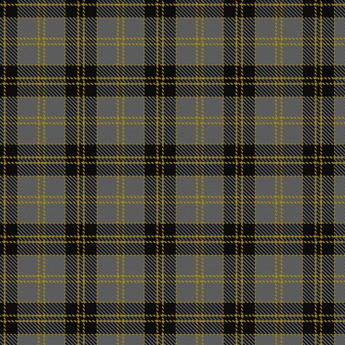 Bannockbane Grey #3 Tartan 