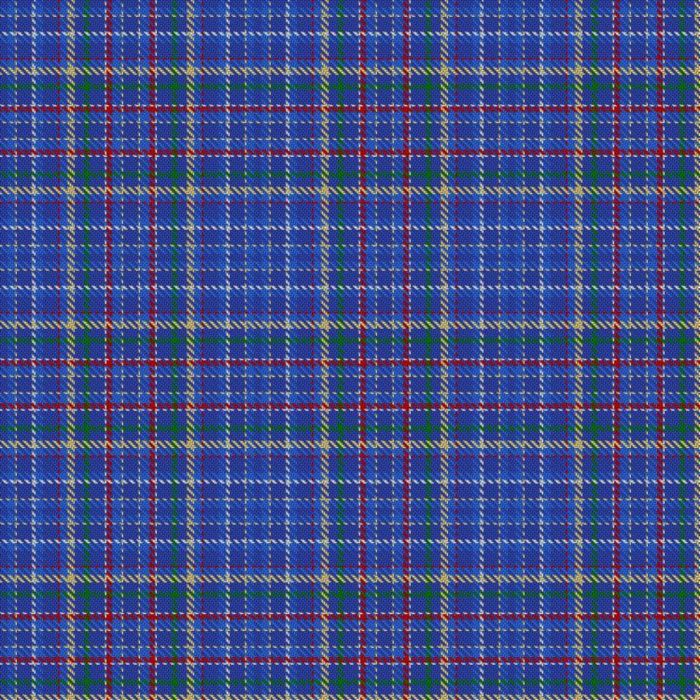 Bannov, Vladimir (Personal) Tartan 