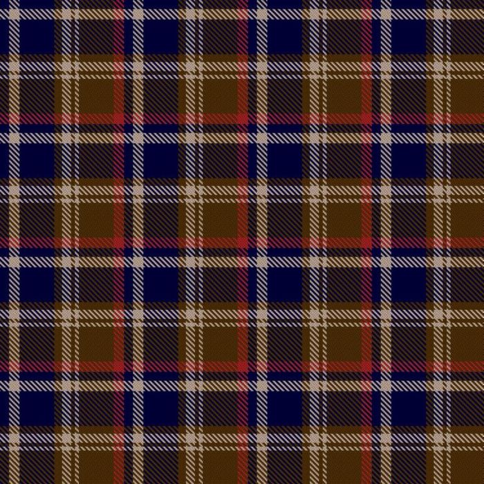 BAPE Tartan 
