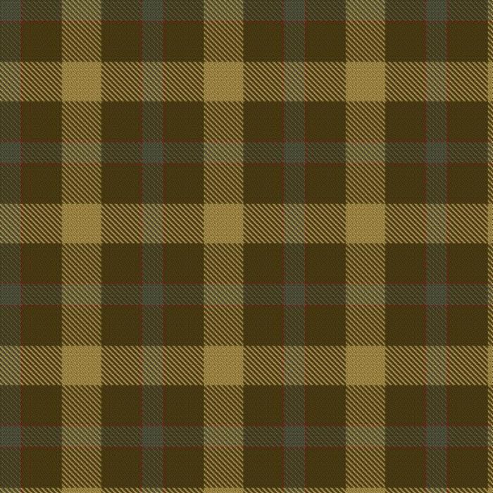 Barber Family 2011 (Personal) Tartan 
