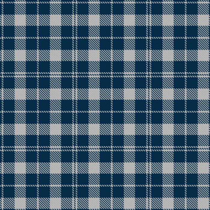 Barbie's Moss Plaid (Blue & White) Tartan