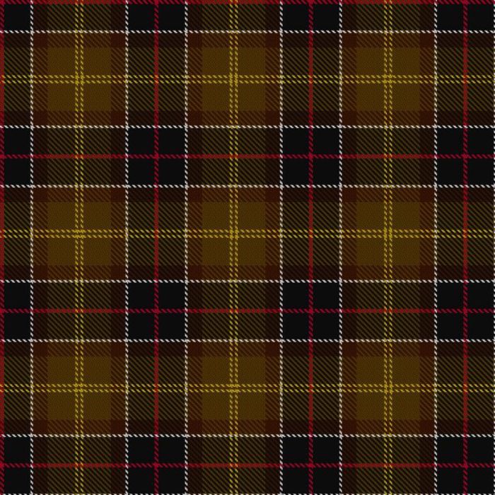 Barbour Tartan 