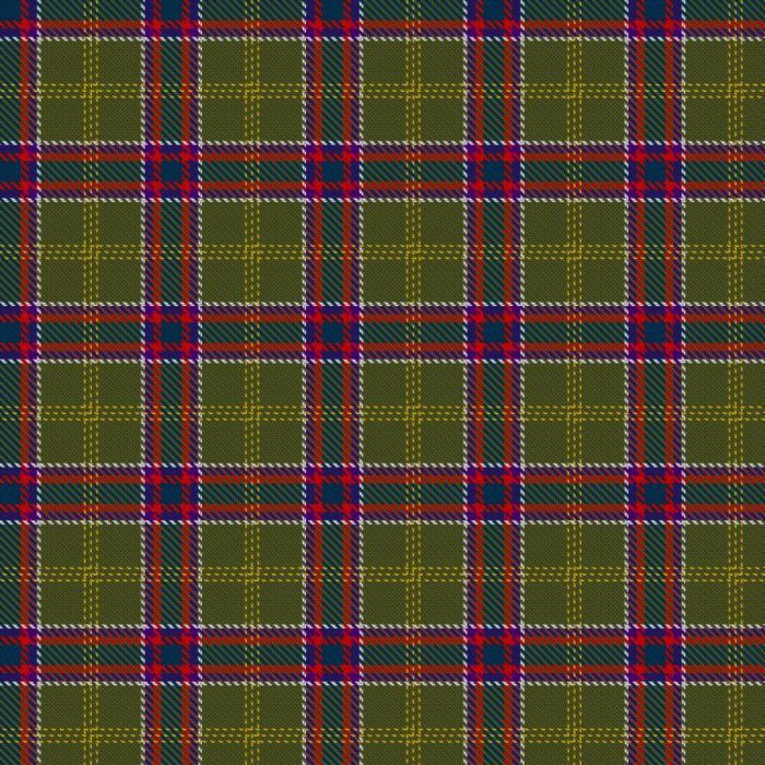 Bards, Ovates and Druids Tartan 