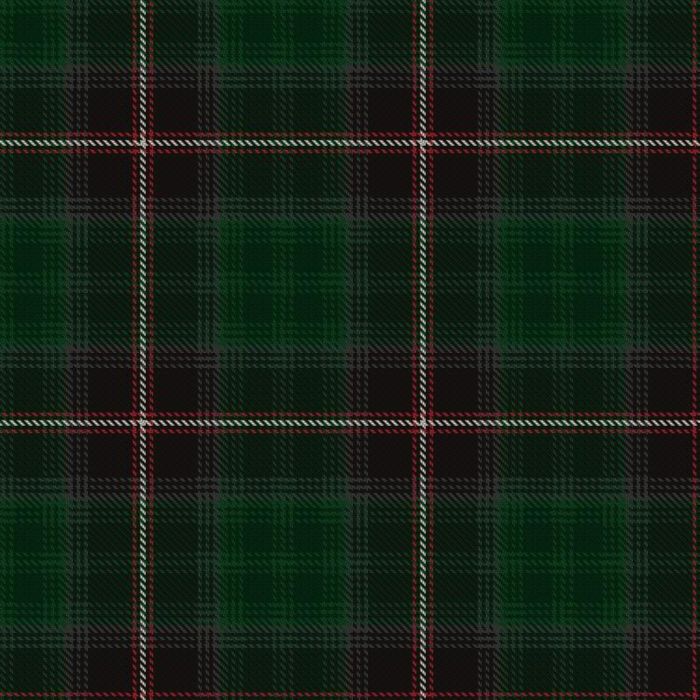 Barkway Wedding 2012 Tartan 