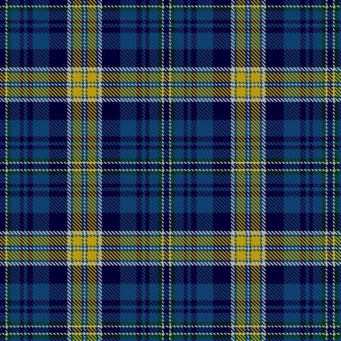 Bath Caledonian Society Tartan 