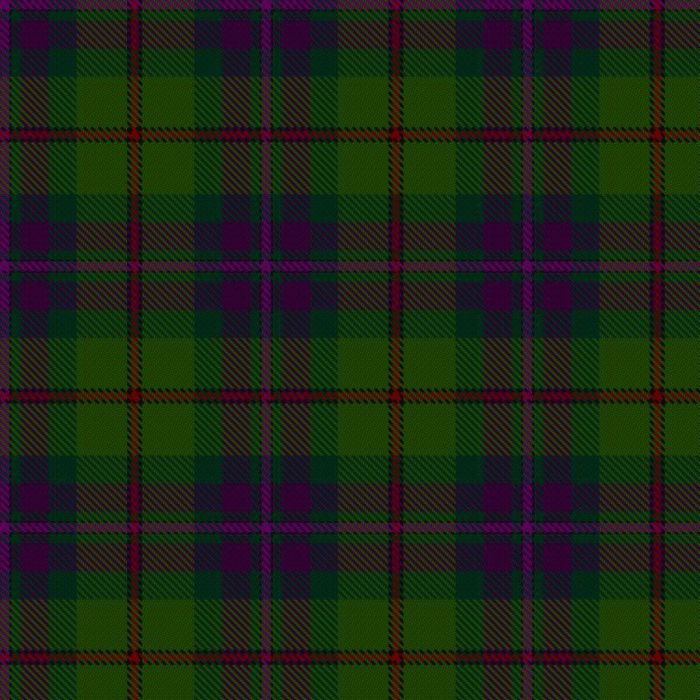 Batten of Argyll (Baddenach) Tartan