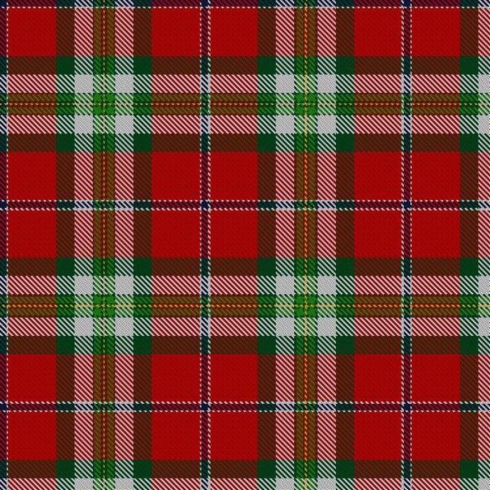 Bayeux Tapestry Tartan 