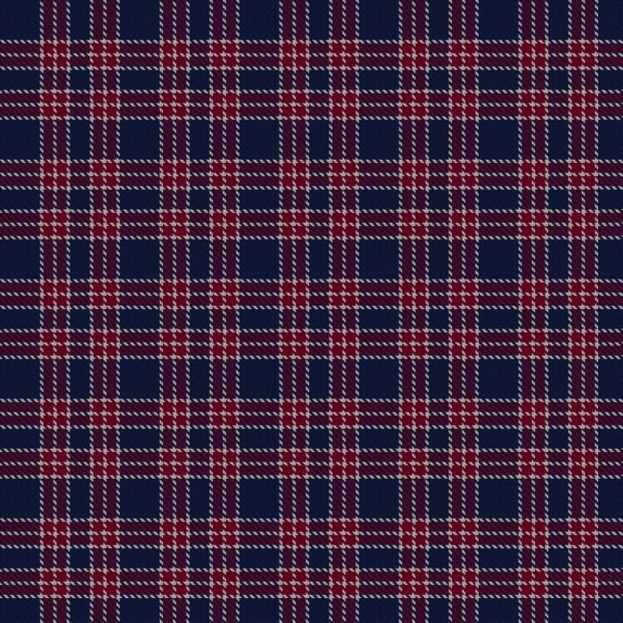 BC Corps of Commissionaires Tartan 