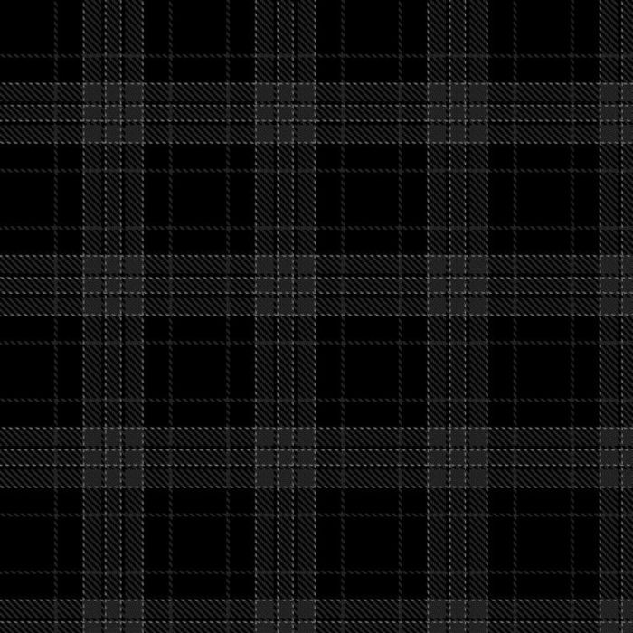 Beautifully Romanticised Accidentally Traumatized Tartan 