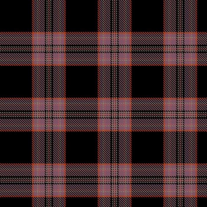 Beautifully Romanticised Accidentally Traumatized Glory Tartan