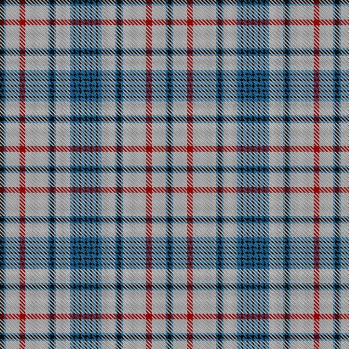 Beck Dress (Personal) Tartan