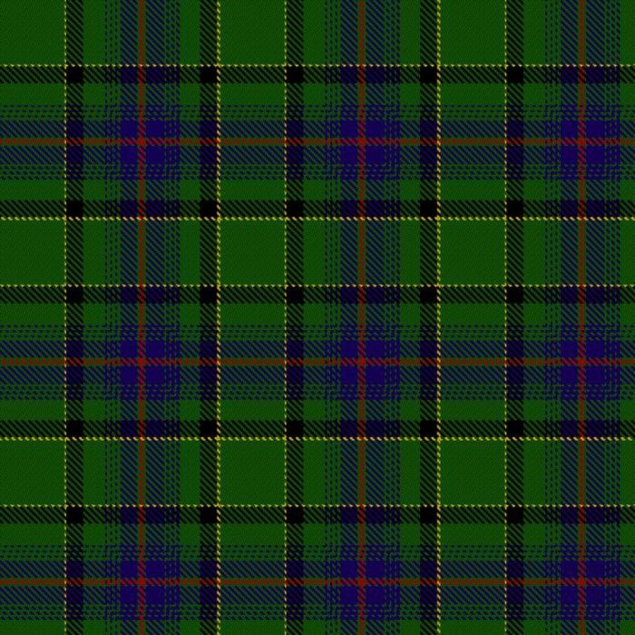 Beddison, Tony and Robyn (Personal) Tartan