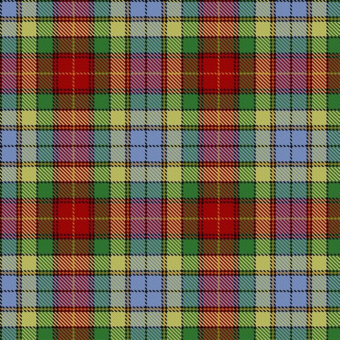 BeeJay Tartan