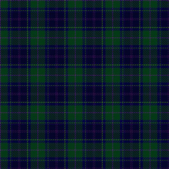 Begg (Scarfskerry) Tartan kilt