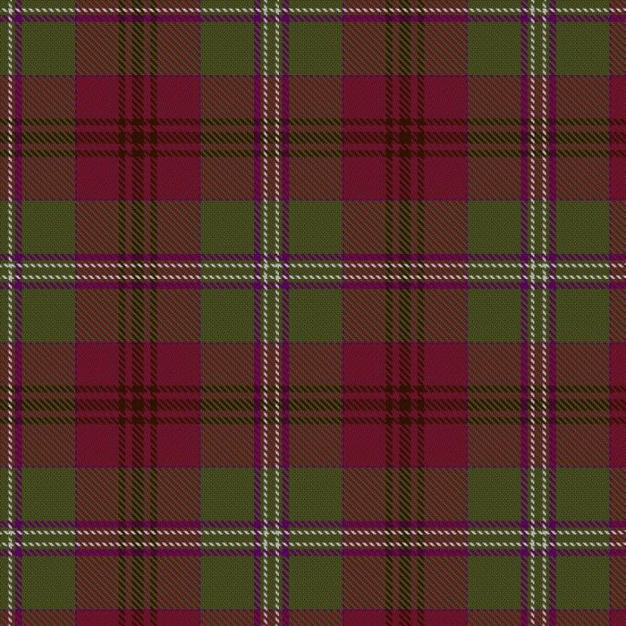 Bell of Ardbel (Personal) Tartan